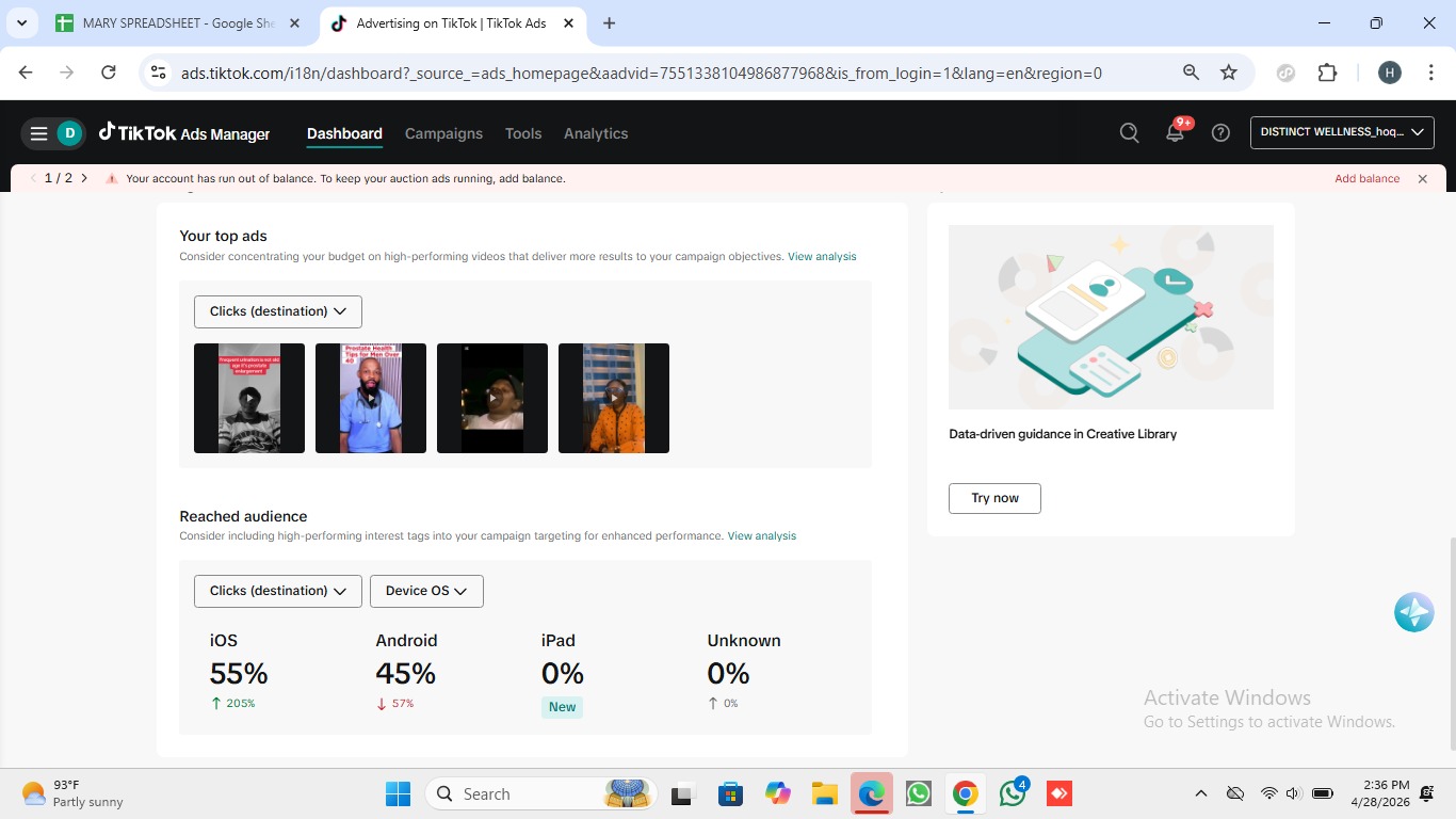 TikTok Ads Dashboard - Campaign Performance Overview