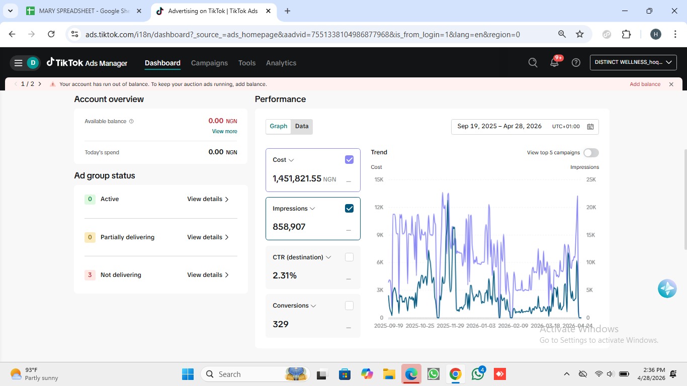 TikTok Ads Manager - Account Metrics and Analytics